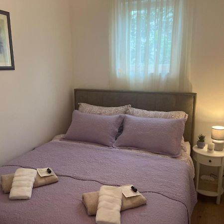 Apartment Luna 扎达尔 外观 照片