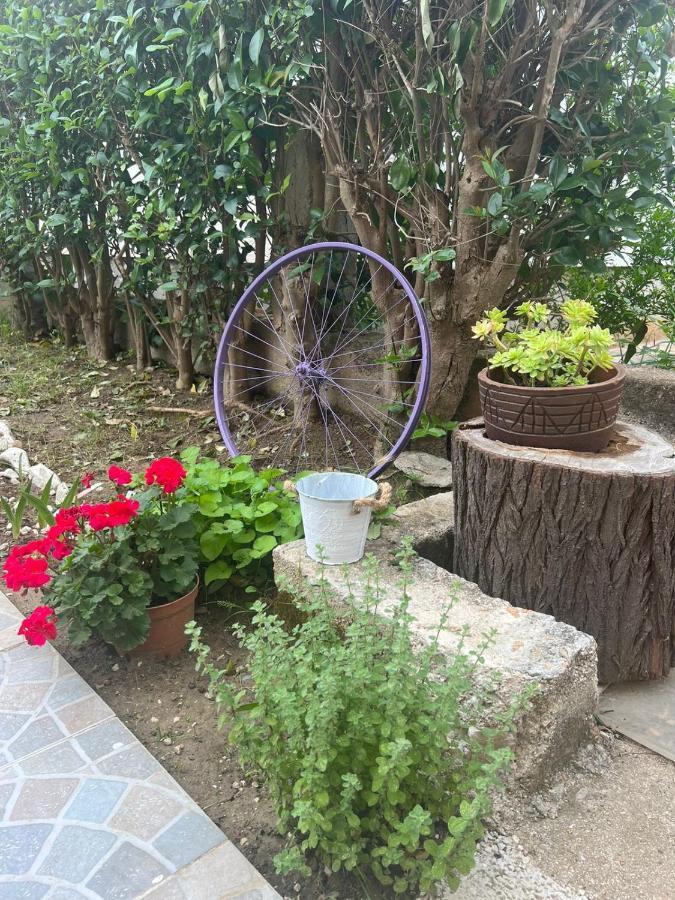 Apartment Luna 扎达尔 外观 照片